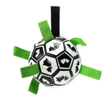 Interactive Soccer Brain Game for Dogs